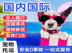 花果山国际宠物托运 【国